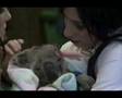 a tribute to Jess Origliasso