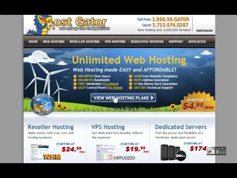 how to obtain website domain