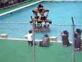 ある学校の文化祭でのウォーターボーイズ