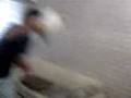 videos de kito y sile re lokos