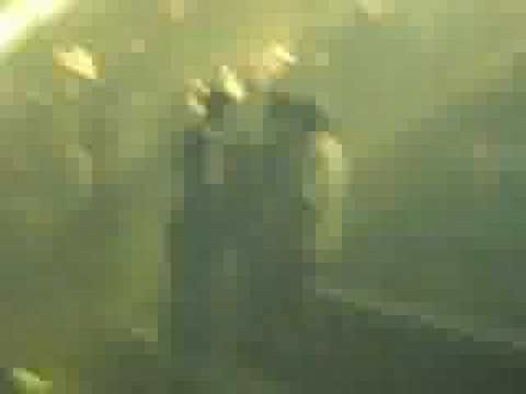Video Video
