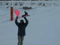 Un día en la nieve Un día en la nieve