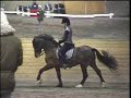 Cardi at Debbie mcdonald clinic - warm up and pirouette