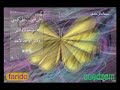 ouedzem-waladi.html