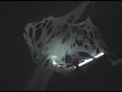 Video thumbnail frame