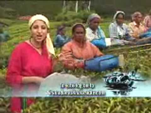 Munnar video