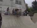 Cat House 7/1