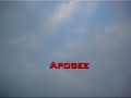 Apollinaris