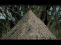 Faszination Natur - Raues Mecklenburg-Vorpommern