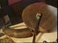 Los Araucanos