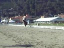Horseback riding (Ippica)