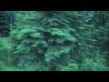 Doug and Nick's Alaskan advetures part 1 of week 4