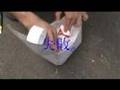 Introduction video of Egg Drop Contest - Japanese rule