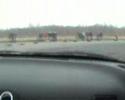 Drift days 2 - S13 onboard (Itchy)