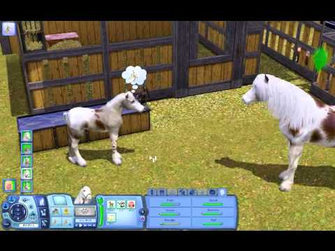 IA4knDG0iBQ - Salut tout le monde ! Voici la 3éme partie sur les Sims 3 Animaux et Cie !