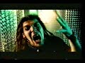 A..N.I.M.A.L -Revolucion