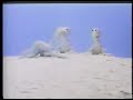 Icarus- claymation video