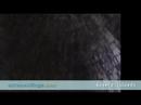 Greece The Citadel of Mycene Video by Eurobookings.com