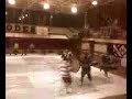 MoHi-Marching-Percus