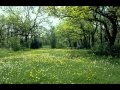 SoundBoy - Maneaua Electronica