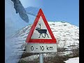Norvegia \" N� roba grossa\"