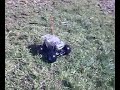 Tamiya TLT-1 first outdoor run Tamiya TLT-1 first outdoor run