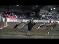 videos de ENSE Tug of War Semi-Finals Antigonish