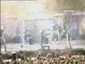 Live From Volkerball (Links 234) Rammstein