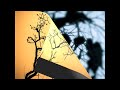Psychonaut Lib III-Fields of the Nephilim Psychonaut Lib III-Fields of the Nephilim