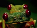 a-more-perfect-union-happy-new-year-earthlings.html