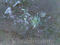 ultraslo splash test