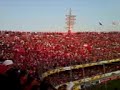 la banda del tibu vs los pipopes