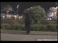 levitation revealed