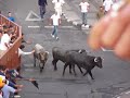 Encierros Arganda 2008 (Lidia): Martes