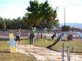 videos de Tag's Standard Agility Run