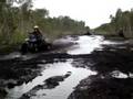 raptor 660 2001 muding