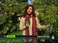 Corrupción urbanística Orxeta (3)