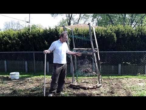 Wisconsin - In this video Joey makes a squash cage, shows how to plant pole beans (string beans) and why using manure tea is so beneficial to all of your plants. Arlena ...