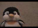 New webkinz for 2008 contest CLOSED!!!!