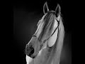 Caballos españoles Caballos españoles