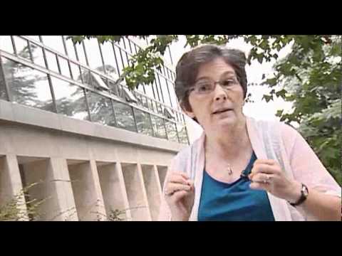 Ver video