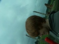 Exkursion Auschwitz 2008