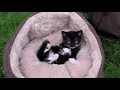 YouTubeサムネイル[IAkK7kjn91k] - 1枚目