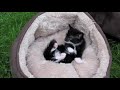 YouTubeサムネイル[IAkK7kjn91k] - 2枚目