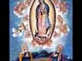 virgen morenita
