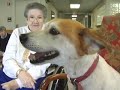 Robot Dog Therapy