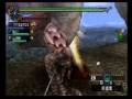 videos de Jungle where cherry blossoms flutter