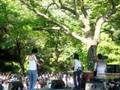 Nude Voice: Live at Hibiya Park, Tokyo