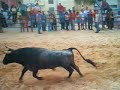 Largada de Toiros2: Palmela