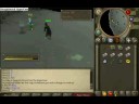 Fist of Guthix (Grim Preists) #1